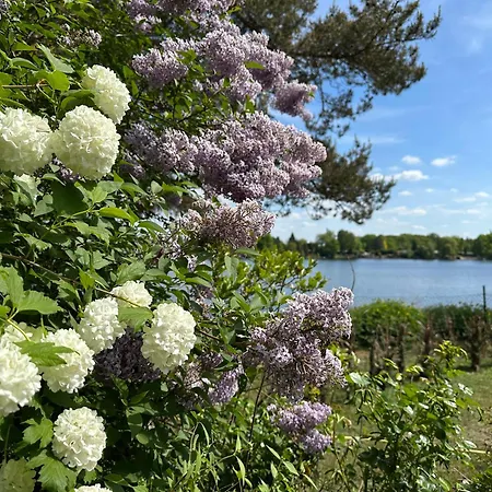 Сasa de vacaciones Auszeit Am Lanzer Basedow (Lauenburg)
