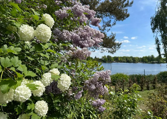 Ferienhaus Auszeit Am Lanzer Basedow (Lauenburg)