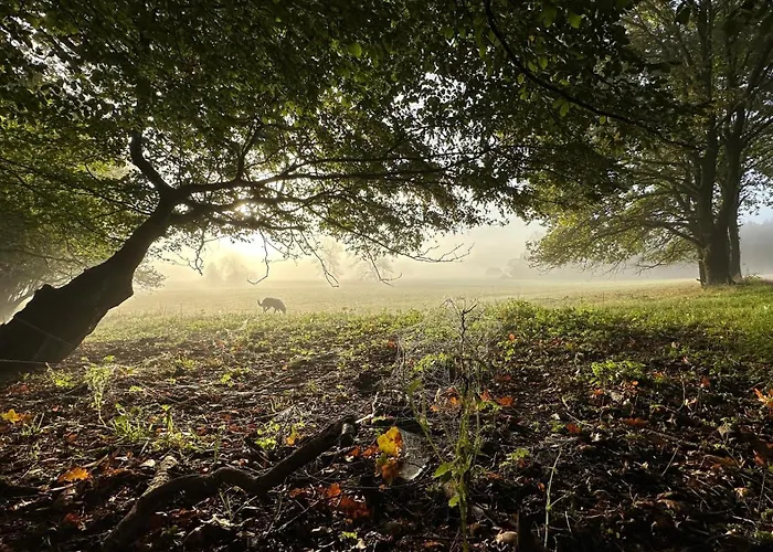 Auszeit Am Lanzer * Basedow (Lauenburg)